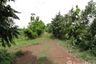 Land for sale in Oraphim, Nakhon Ratchasima