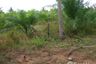 Land for sale in Ang Thong, Prachuap Khiri Khan