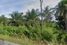 Land for sale in Na Kratam, Chumphon