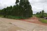 Land for sale in Nong Ki, Prachin Buri