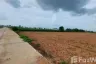 Land for sale in Hua Thale, Nakhon Ratchasima