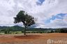 Land for sale in Bu Hom, Loei