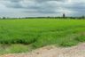 Land for sale in Bang Pla, Nakhon Pathom