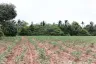 Land for sale in Nong Phai Kaeo, Chonburi