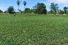 Land for sale in Thung Pho, Uthai Thani