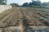 Land for sale in Kratip, Nakhon Pathom