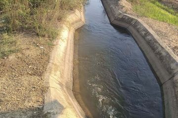 Land for sale in Kratip, Nakhon Pathom