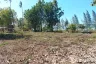 Land for sale in Don Sak, Surat Thani
