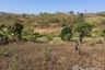 Land for sale in Wiang Nuea, Mae Hong Son