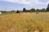 Land for sale in Kut Nam Sai, Khon Kaen