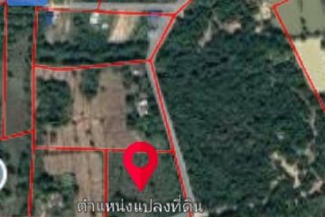 Land for sale in Samphan Ta, Prachin Buri