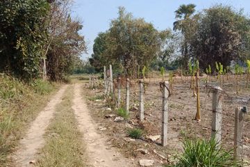 Land for sale in Ban Du, Chiang Rai