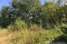 Land for sale in Tha Li, Loei