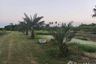 Land for sale in Ngio Rai, Lopburi