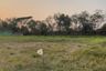Land for sale in Ban Pet, Khon Kaen