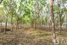 Land for sale in Na Mafueang, Nong Bua Lamphu