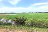 Land for sale in Rusa Milae, Pattani