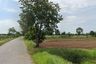 Land for sale in Mueang Khong, Nakhon Ratchasima