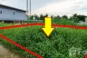 Land for sale in Sam Wa Tawan Tok, Bangkok