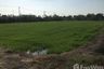 Land for sale in Ton Tan, Suphan Buri