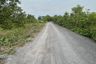Land for sale in Non Muaeng Patthana, Nakhon Ratchasima