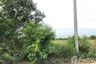 Land for sale in Rat Niyom, Nonthaburi