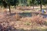 Land for sale in Klaeng, Rayong