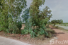 Land for sale in Nong Kung Si, Kalasin