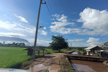 Land for sale in Chiang Dao, Chiang Mai