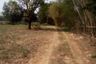 Land for sale in Lat Bua Khao, Nakhon Ratchasima