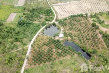 Land for sale in Tha Takhro, Phetchaburi