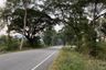 Land for sale in Samo Khon, Tak