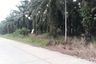Land for sale in Thung Luang, Chumphon