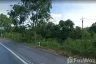 Land for sale in Mae Pah, Lampang