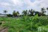 Land for sale in Nong Ri, Chonburi