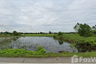 Land for sale in Wang Dan, Prachin Buri