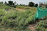 Land for sale in That Thong, Chaiyaphum