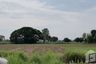 Land for sale in That Thong, Chaiyaphum