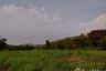 Land for sale in Muak Lek, Saraburi