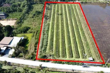 Land for sale in Wat Lamut, Nakhon Pathom