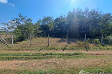 Land for sale in Pong Yang Khok, Lampang