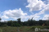 Land for sale in Makham Tia, Surat Thani