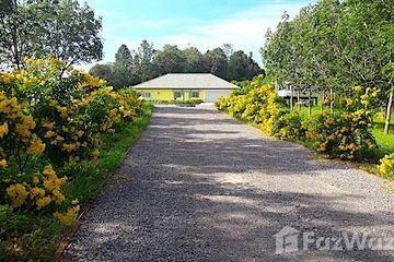 Land for sale in Na Din Dam, Loei