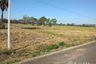 Land for sale in Chorakhe Mak, Buriram