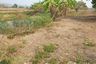 Land for sale in Huai Sak, Chiang Rai