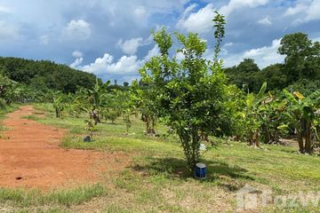 Land for sale in Dong Maha Wan, Chiang Rai
