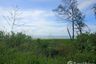Land for sale in Taphong, Rayong