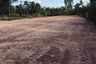 Land for sale in Dong Mafai, Sakon Nakhon