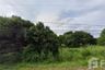 Land for sale in Klang Dong, Nakhon Ratchasima