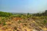 Land for sale in Chiang Klang, Nan
